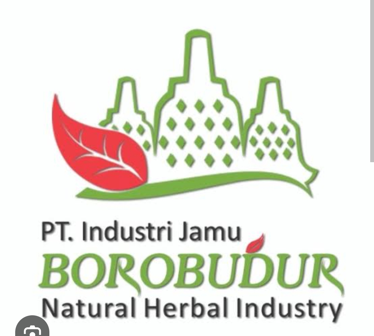 PT Industri Jamu Borobudur